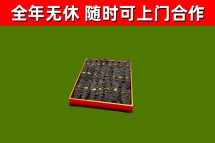 汾西回收海参